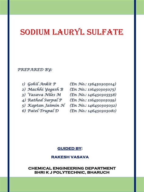 Image result for Project Report Examples