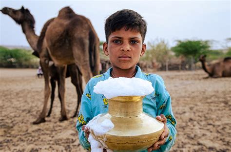 Camel Milk Capacity at Janice Kiefer blog