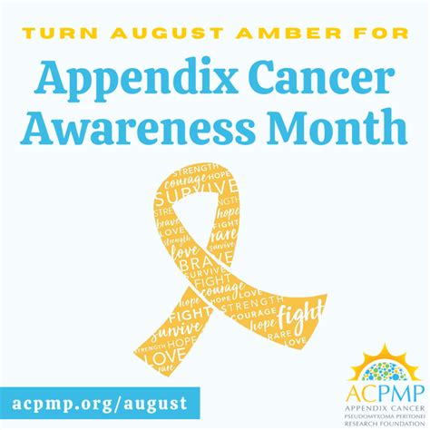 August Appendix Cancer Awareness Month Recap | ACPMP