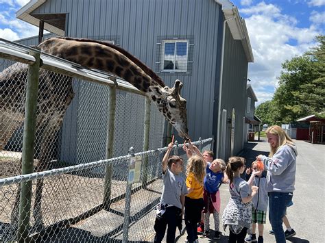 Adirondack Animal Land | Broadalbin, NY 12025