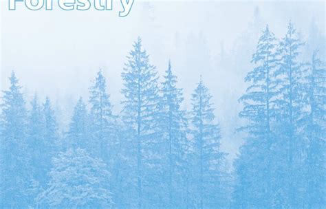 IUFRO - Velux Stiftung: Funding Program in Forestry