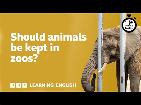 Image result for Colossal Questions Channel Animals