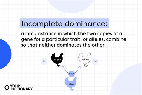 Image result for Incomplete Dominance Examples