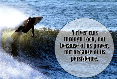 10+ Inspirational Quotes about Persistence Pays off | Insbright