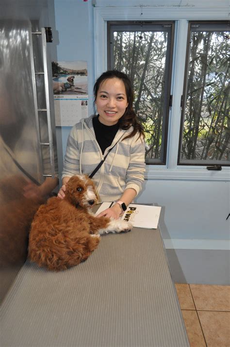 Molly! – Morris Hills Veterinary Clinic