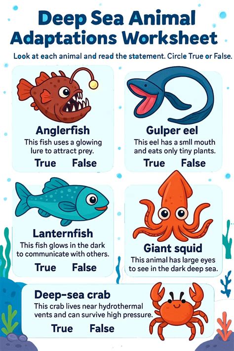 Deep Sea Animal Adaptations Worksheet - Download & Print Now!