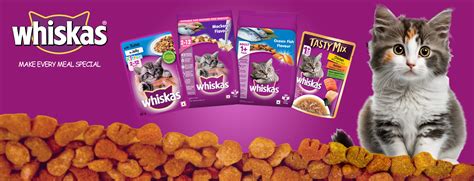 Best Pet Food & Products Supplier, Grooming & Essentials in Bangalore ...