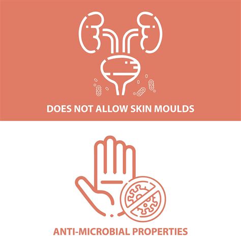 Buy PROWEE WOMEN'S DISPOSABLE URINE INCONTINENCE PANTY FOR DROP ...