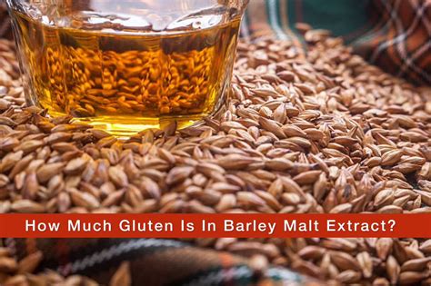 How Much Gluten is in Barley Malt Extract? 3 Gluten-free Alternatives of Barley Flour - Glutenastic