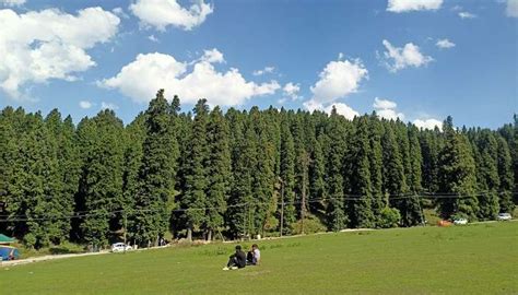 45 Things To Do In Srinagar In 2026 | Activities And Paces.