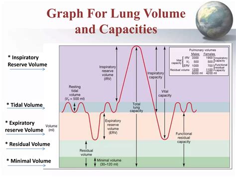 Respiratory system: Pulmonary Volume and Capacity | PPTX