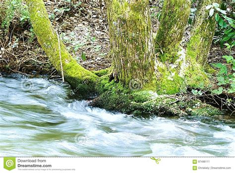 mindshift photography backpack