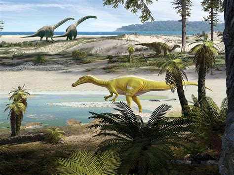 New dinosaur, a species of spinosaurid, discovered in Spain, researchers say - ABC News