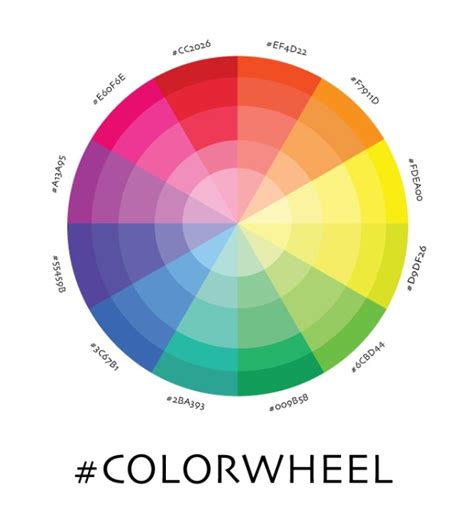 Color Wheel Chart 的图像结果