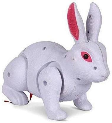 Maa impex Battery Operated Action Bunny Rabbit with Light and Sound for ...