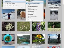 Image result for XnView vs IrfanView