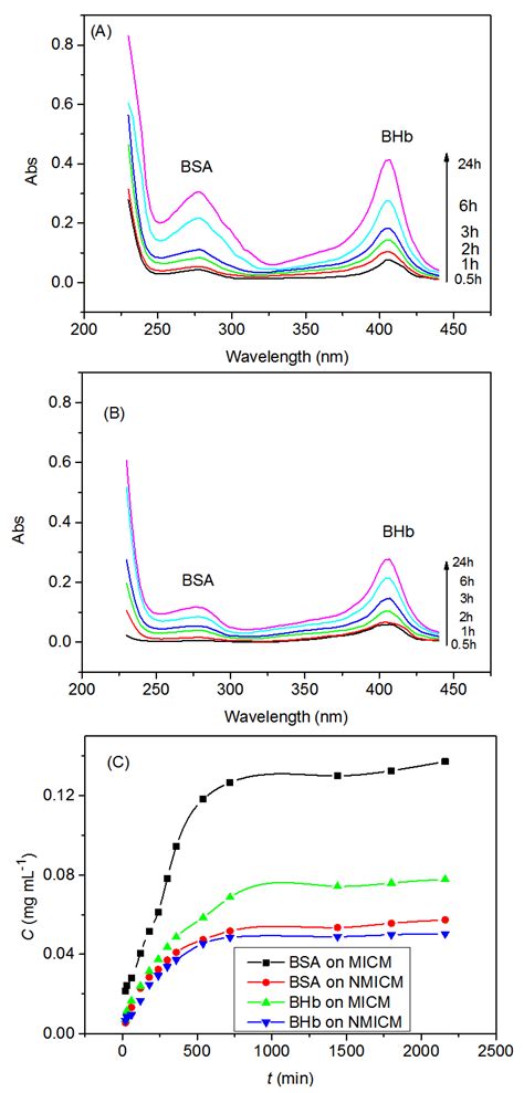 Preparation and Characterization of Protein Molecularly Imprinted Poly ...