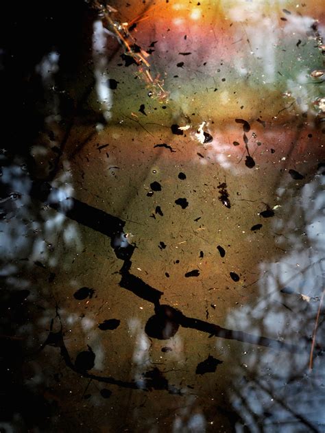 Nature Paper Abstract 的图像结果