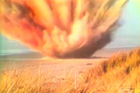 Exploding Whale Australia 的图像结果