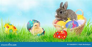 Image result for Bunny and Chick Easter with Flowers