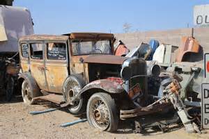 9 animals that can regrow their body parts