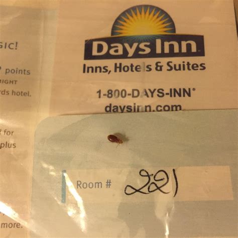DAYS INN BY WYNDHAM GRAYSON - Motel Reviews, Photos, Rate Comparison ...