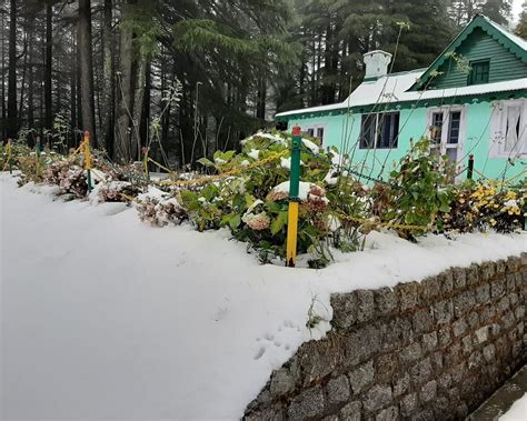 SMART HILL KALATOP (Dalhousie, Himachal Pradesh) - Lodge Reviews ...