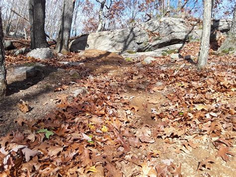 Beverly Commons Beverly Ma