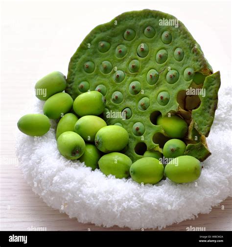 Lotus seed pod hi-res stock photography and images - Alamy