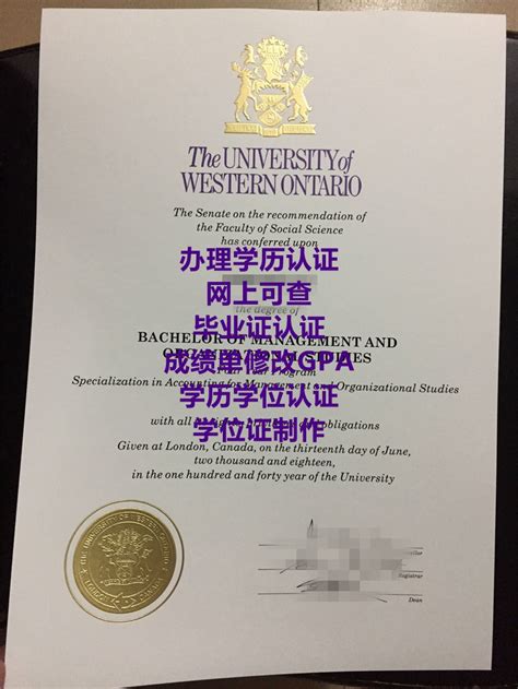 Western学士学位证书订制实拍效果图 天空留学俱乐部