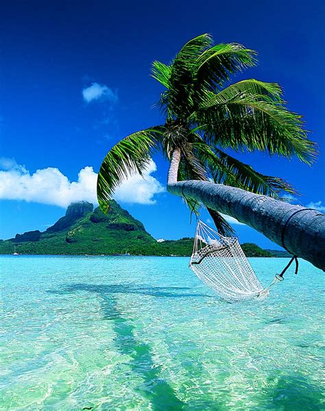 World Visits: Bora Bora Island Paradise On The Earth, Magical Honeymoon ...