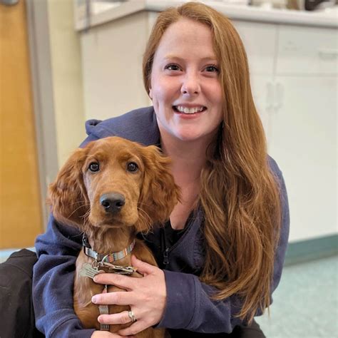 Veterinarian & Animal Hospital in Millis, MA
