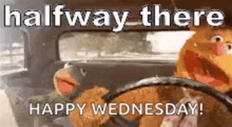 Wednesday Morning GIF - Wednesday Morning Blessings - Discover & Share GIFs