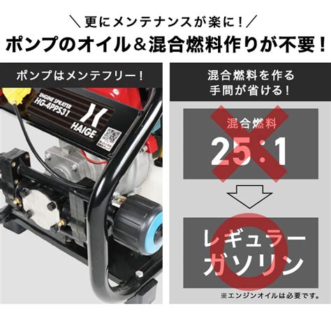Image result for Pi Camera Module 4