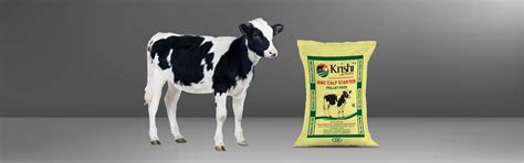 Food :: animal feed :: CALF STARTER (KRISHI)50KG - VetPlus | Everything ...