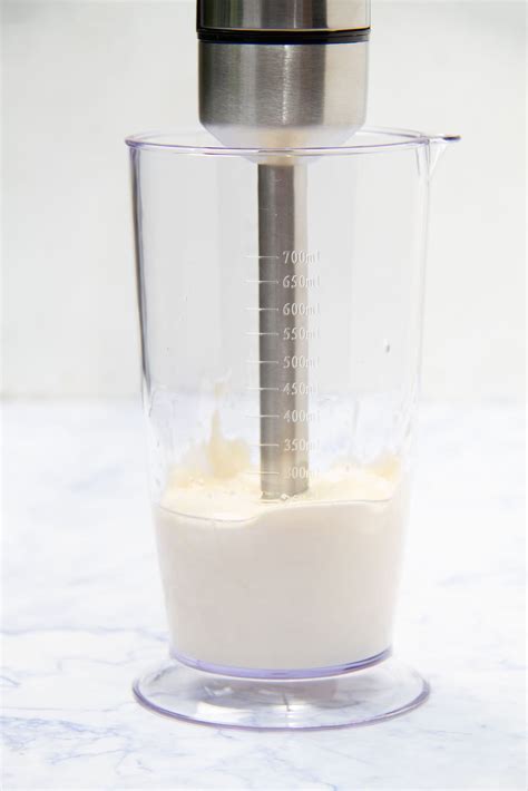 Immersion Blender Mayo - Oh So Foodie