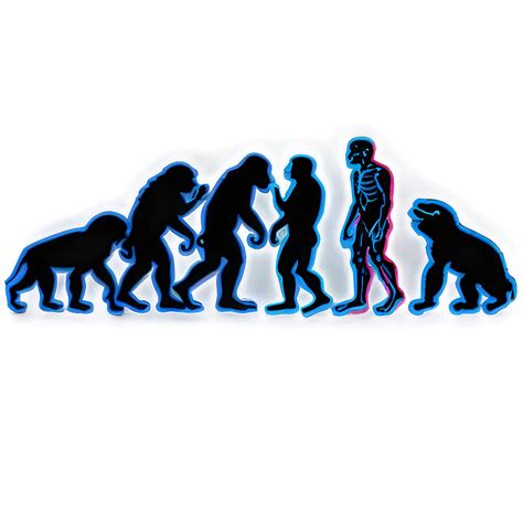 Evolution PNG 的图像结果
