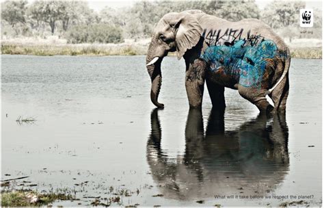 Tagging Animals. | elephant journal