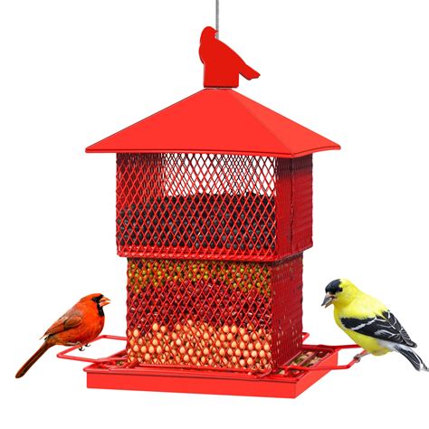 Cardinal Bird Feeder Home Depot at Walter Mcglothlin blog