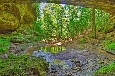 Southern Indiana Vacation Rentals & Homes - Indiana, United States | Airbnb