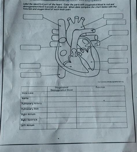 Ified part of the heart. Color the parts with oxygenated blood in red ...