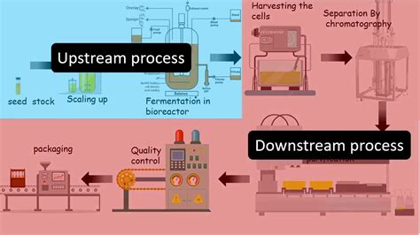 Biotech Process 的图像结果