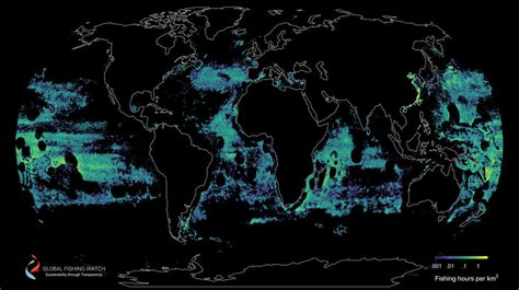 New Maps Reveal Global Fishing's 'Vast Scope Of Exploitation Of The ...