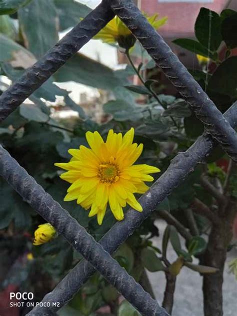 Nokia 3.4 Tutorial 的图像结果