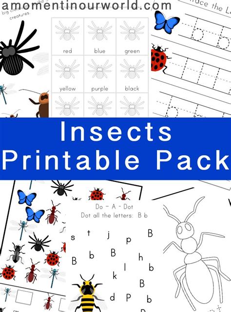 FREE Insect Printables Pack | Free Homeschool Deals