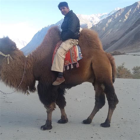 HOTEL CHUBI LEH (Ladakh) - Hotel Reviews & Photos - Tripadvisor
