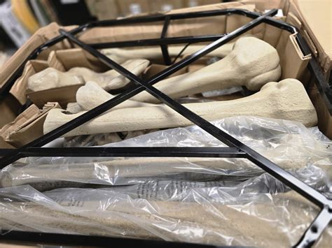 "Home Accents Holiday Home Accents Holiday 12 ft. Grave & Bones Giant ...