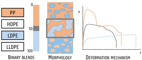 Microstructural Contributions of Different Polyolefins to the ...