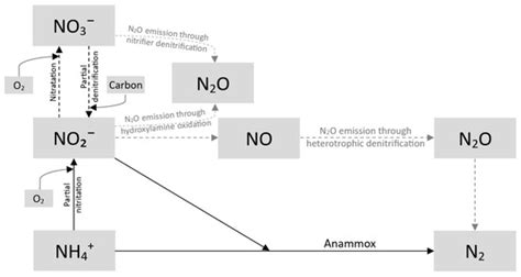 Advanced Technologies for Nitrogen Removal and Recovery from Municipal ...
