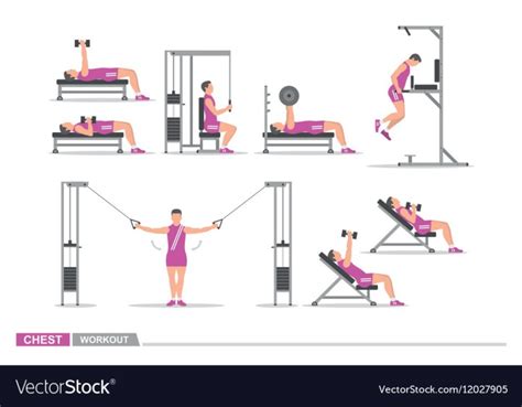 Chest Expander Workout Course 的图像结果